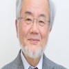 NHỊN ĂN ĐÚNG CÁCH THEO KHOA HỌC