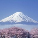 Những biểu tượng phong thủy mang lại tài lộc cho văn phòng công ty